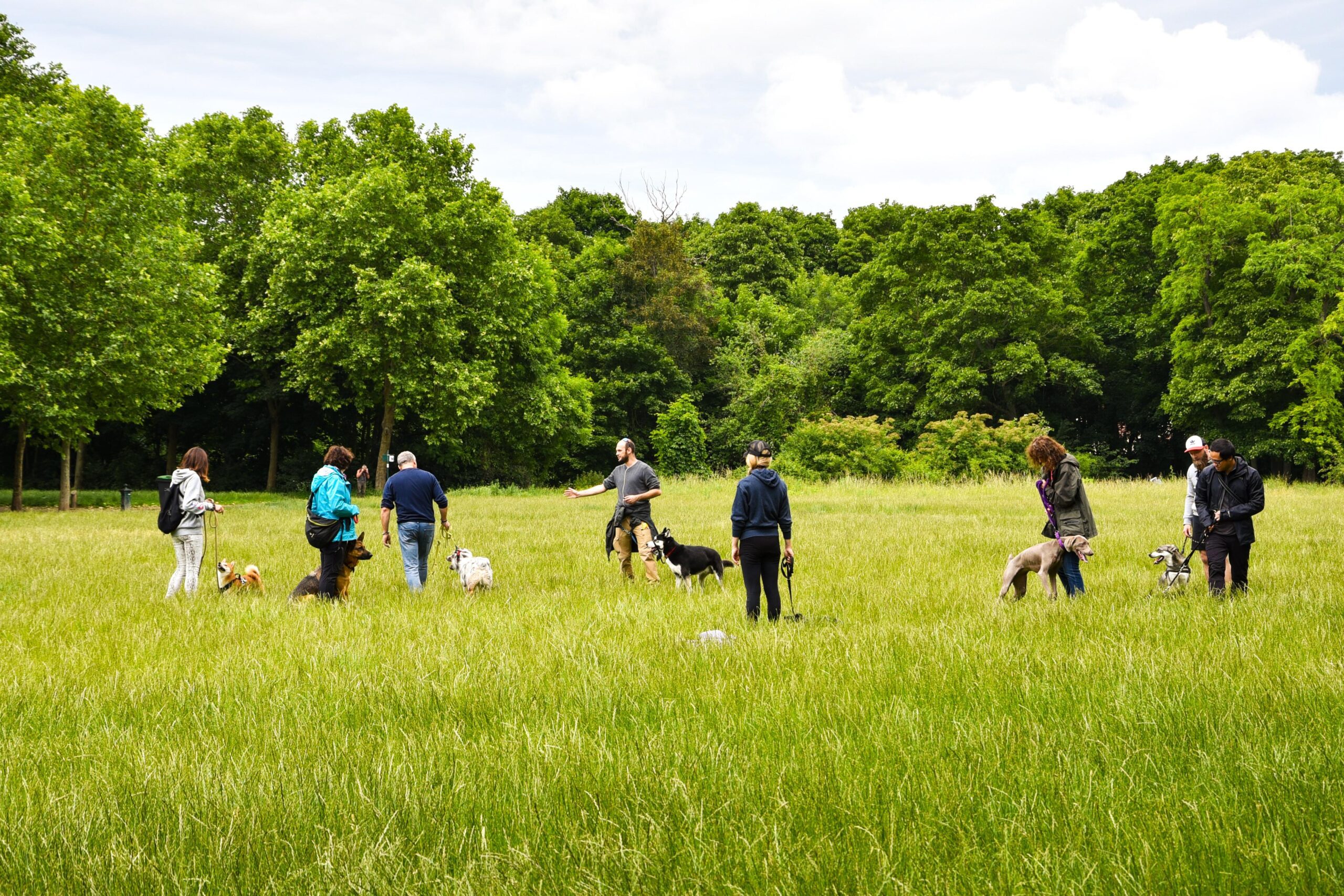puppy class